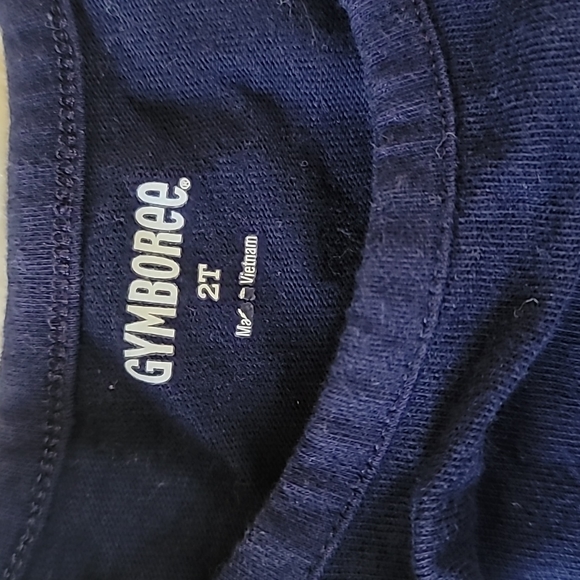 Girls Dress, Toddler, Size 2T, Gymboree, - Picture 2 of 5